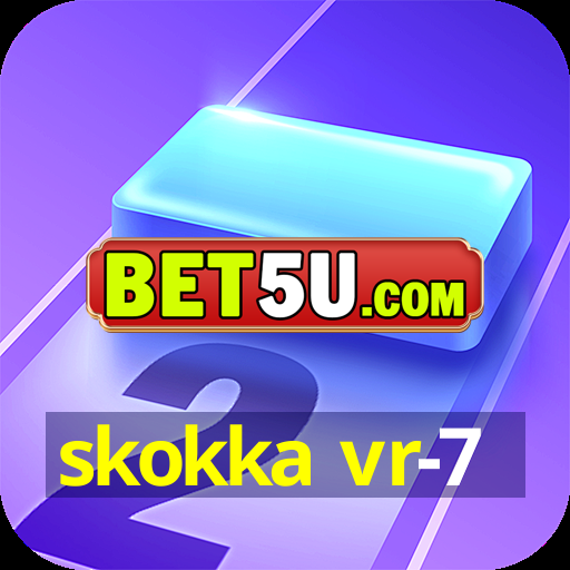 skokka vr